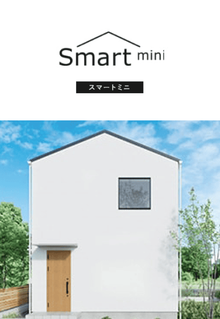 smart mini